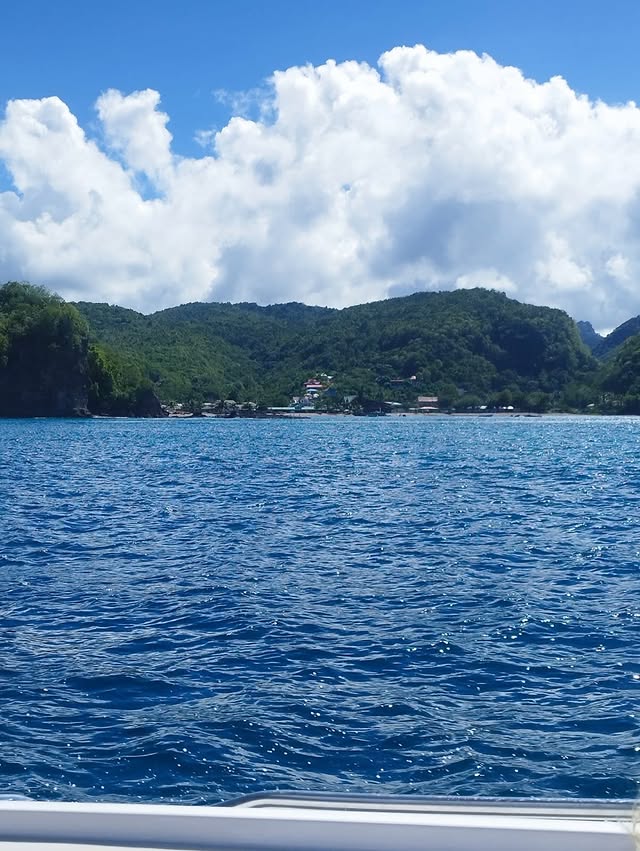 cruiseandchillboattours24