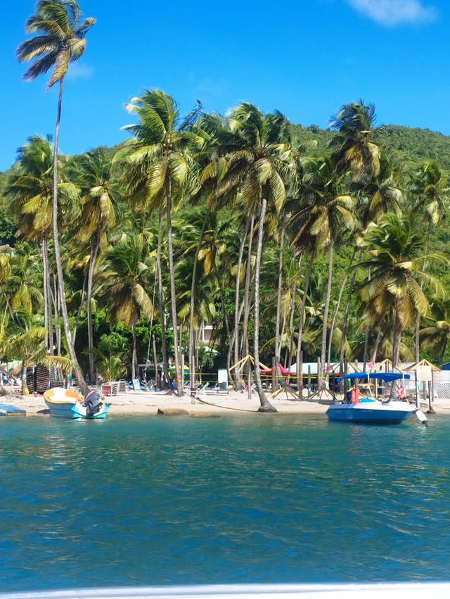 cruiseandchillboattours25
