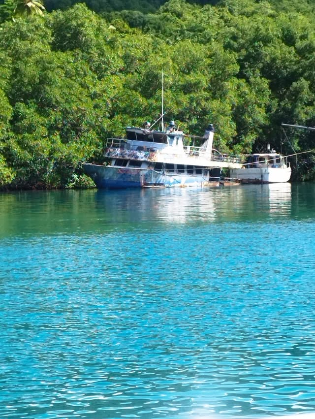 cruiseandchillboattours26